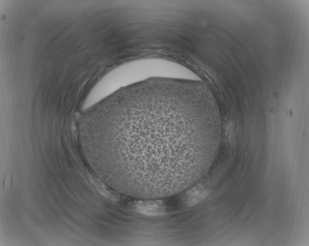 X0000083580373200702231701