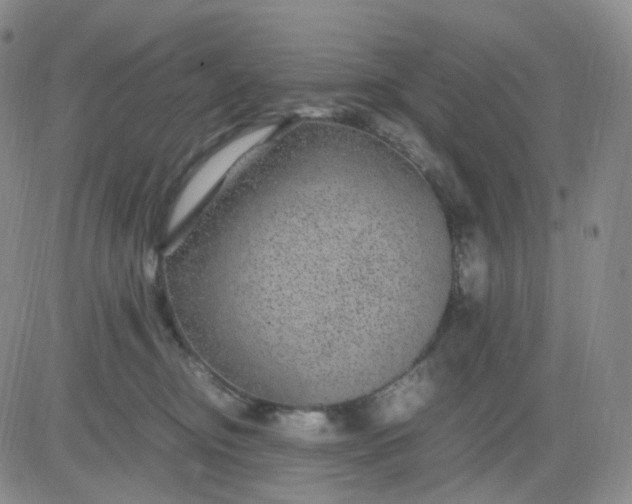 X0000083580374200702231701