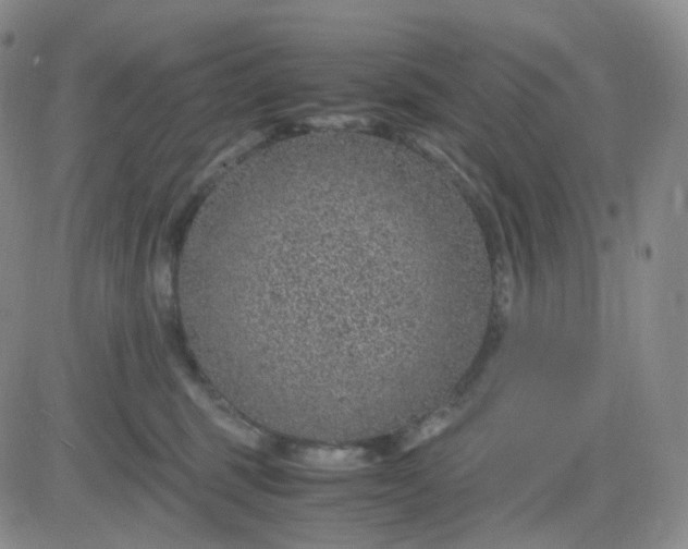 X0000083580375200702231701