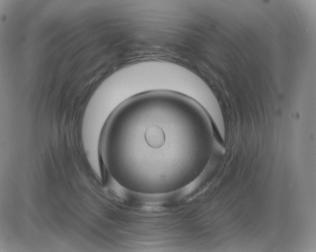 X0000083580376200702231701