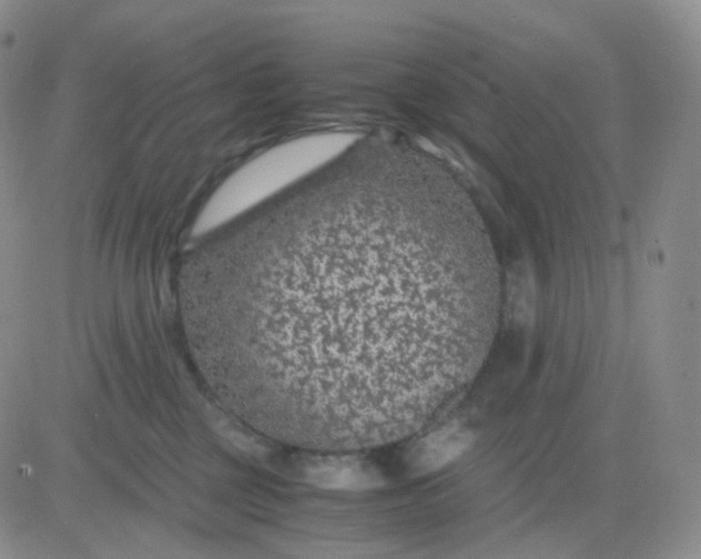 X0000083580377200702231701