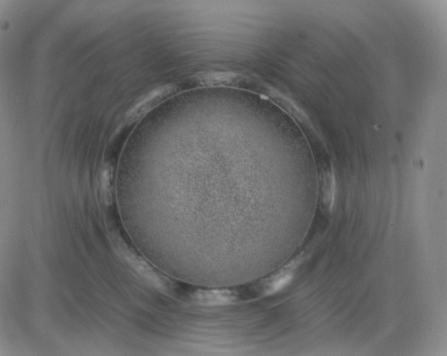 X0000083580378200702231701