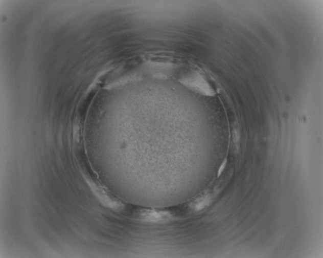 X0000083580379200702231701