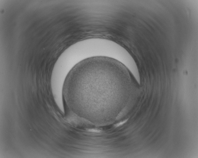 X0000083580380200702231701