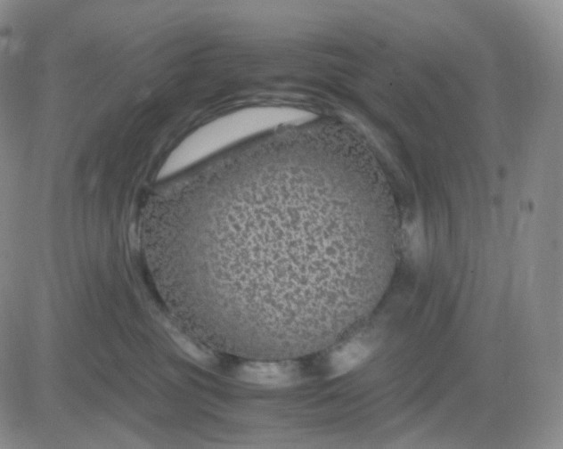 X0000083580381200702231701