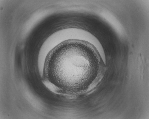 X0000083580382200702231701