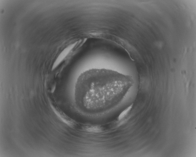 X0000083580383200702231701