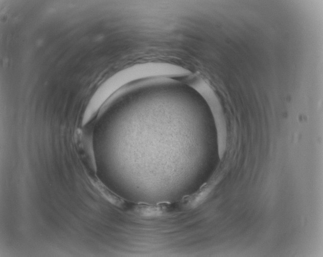 X0000083580384200702231701