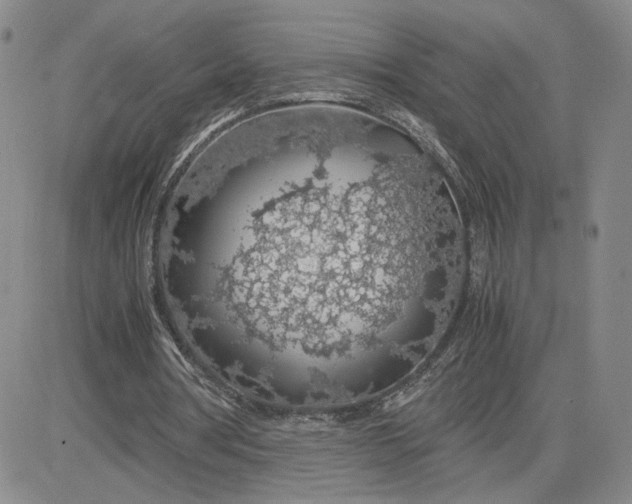 X0000083580386200702231701