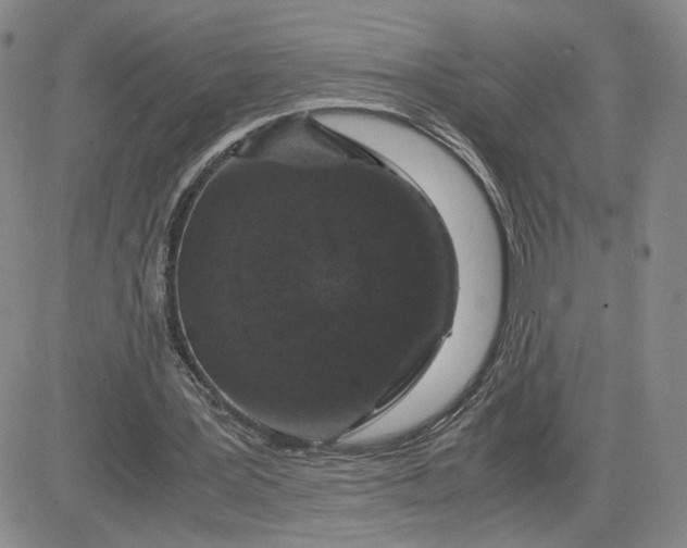 X0000083580387200702231701