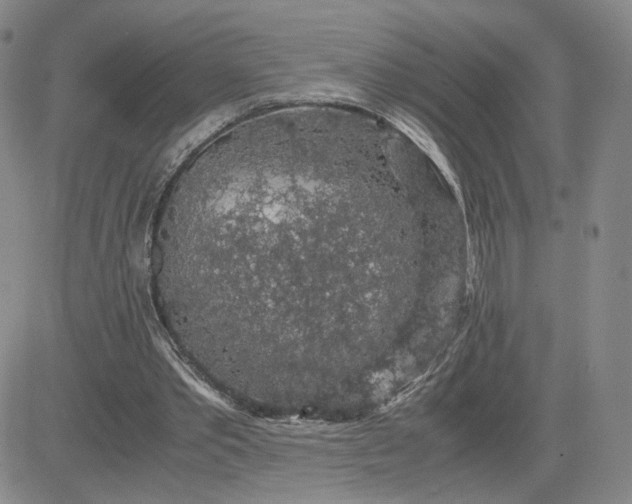 X0000083580389200702231700