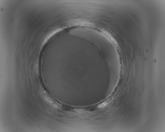 X0000083580391200702231700