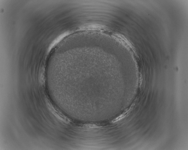 X0000083580392200702231700