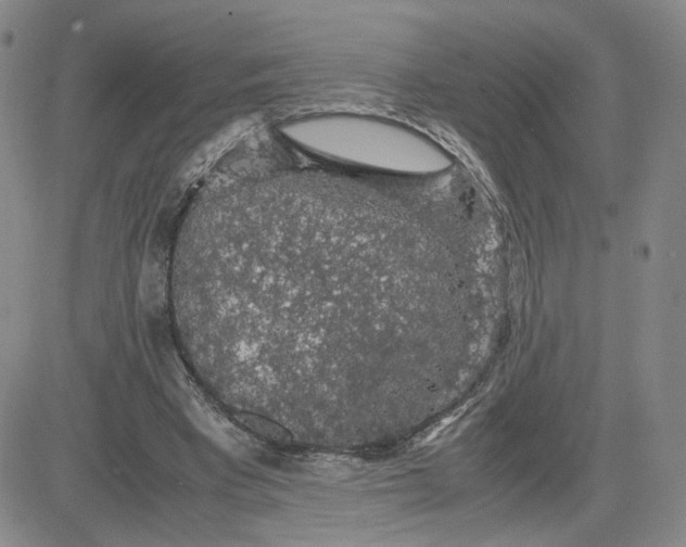 X0000083580393200702231700