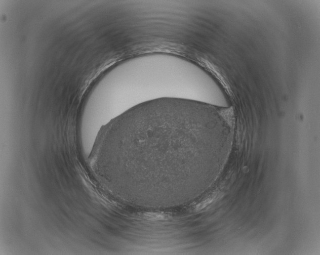 X0000083580394200702231700