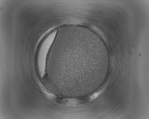 X0000083580395200702231700