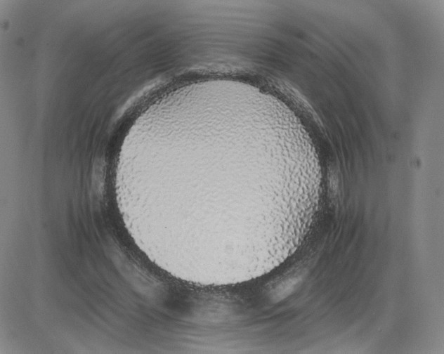 X0000083580396200702231700