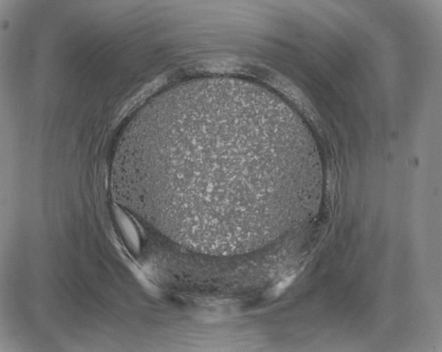 X0000083580397200702231700