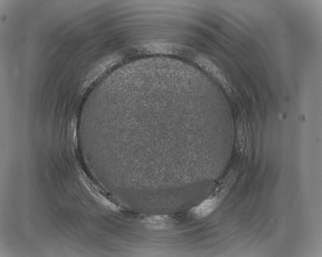 X0000083580398200702231700