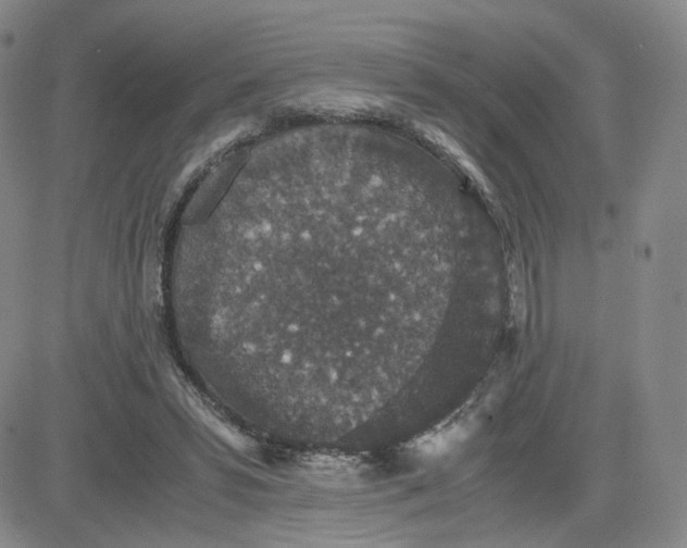 X0000083580399200702231700