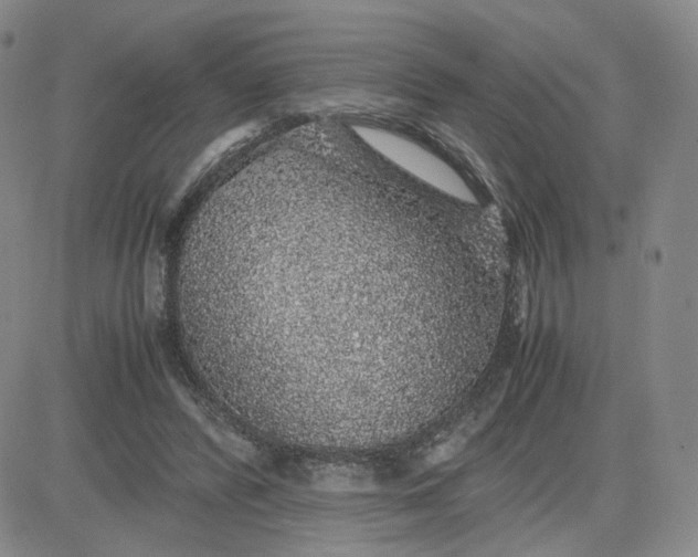 X0000083580400200702231700