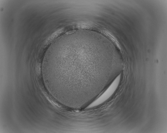 X0000083580401200702231700