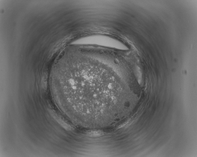 X0000083580402200702231700