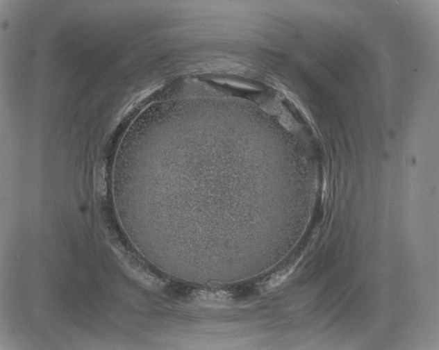 X0000083580403200702231700