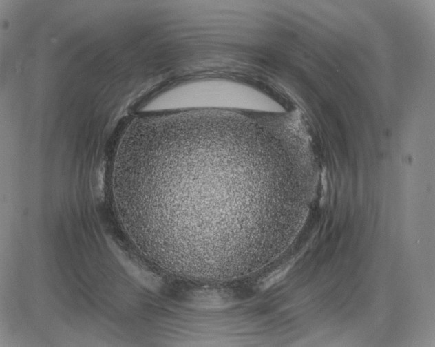 X0000083580404200702231700