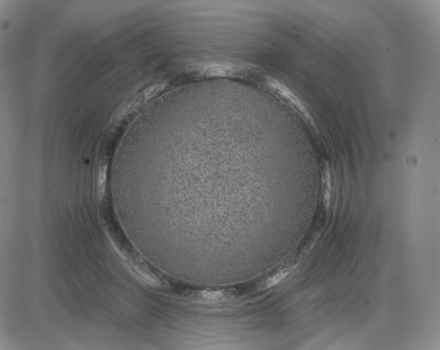 X0000083580406200702231700