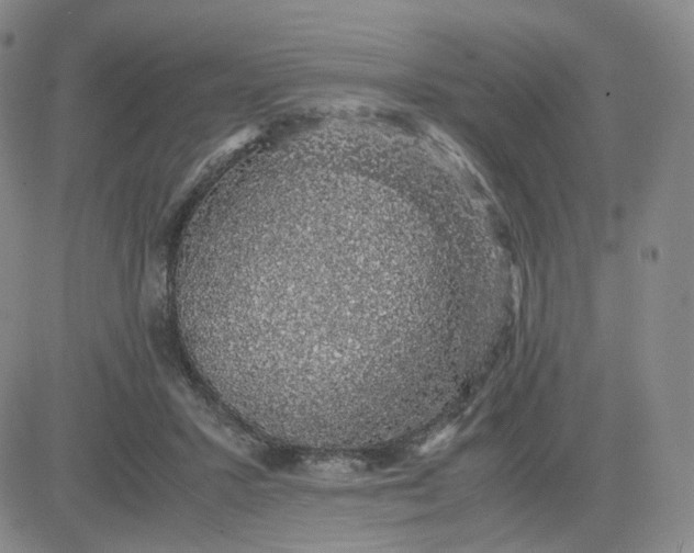 X0000083580407200702231700