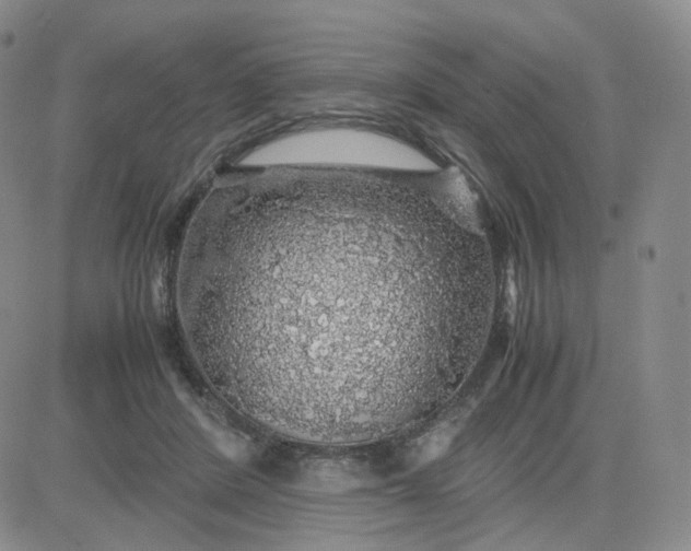 X0000083580408200702231700