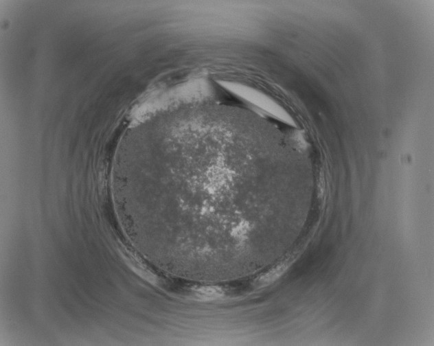 X0000083580409200702231700