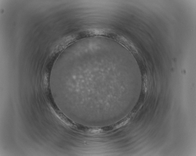 X0000083580410200702231700