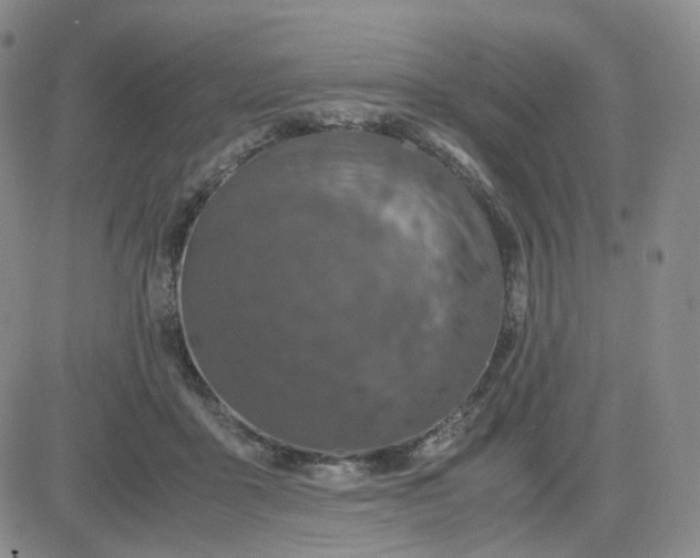 X0000083580411200702231700