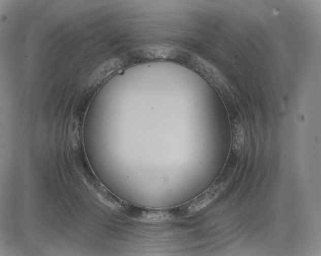 X0000083580414200702231700