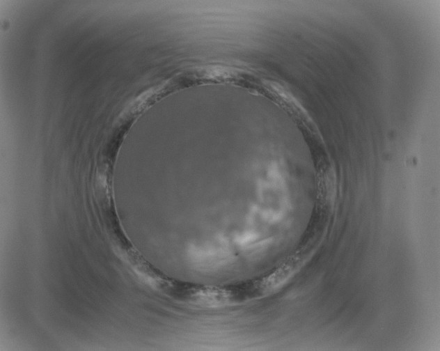 X0000083580415200702231700