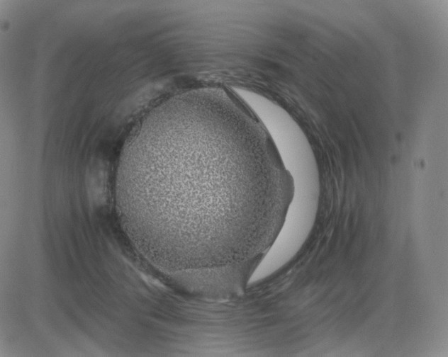 X0000083580416200702231700