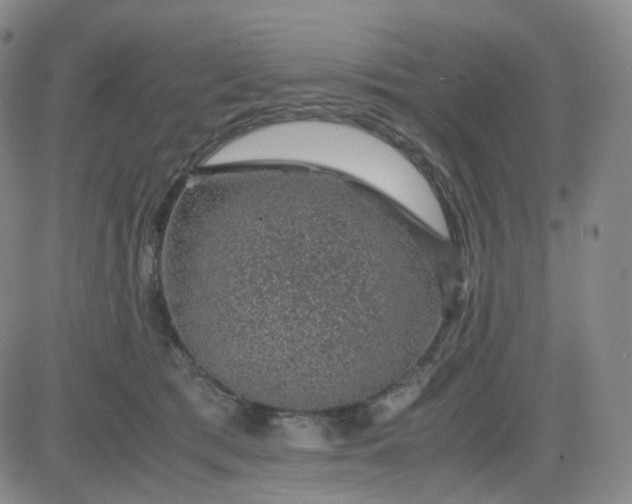 X0000083580417200702231700