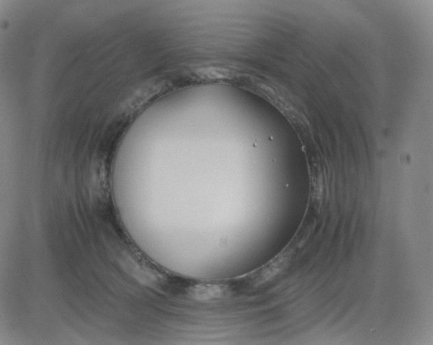 X0000083580418200702231700