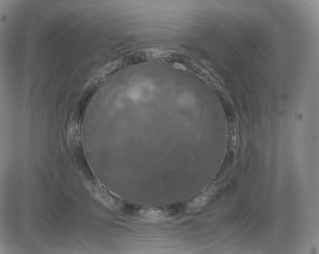 X0000083580419200702231700