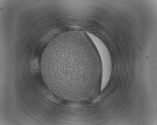 X0000083580420200702231700