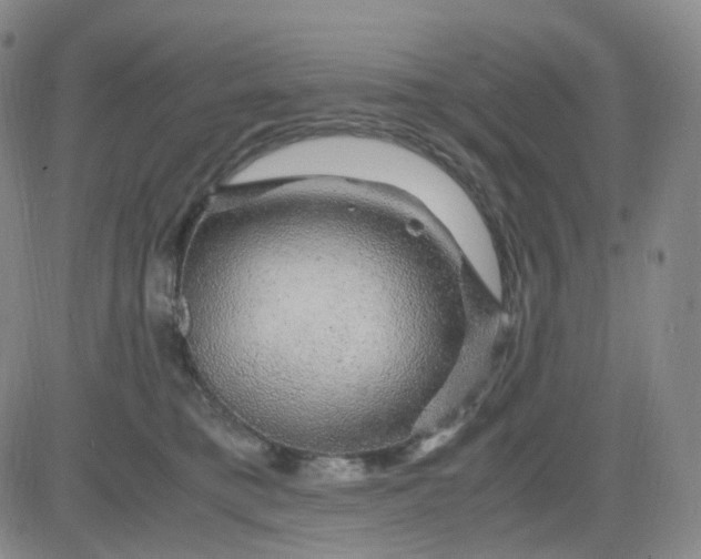 X0000083580421200702231700