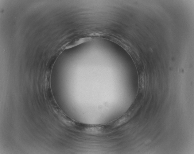 X0000083580422200702231700