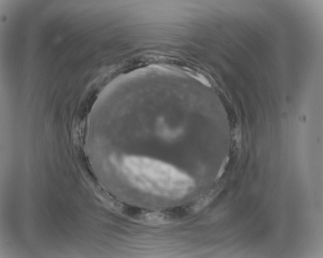 X0000083580423200702231700