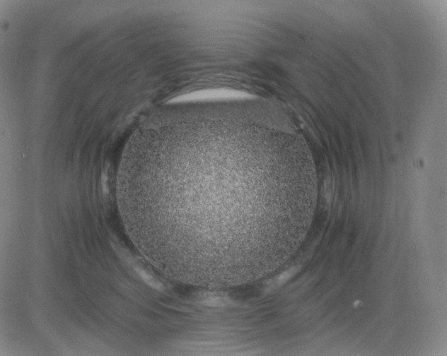 X0000083580424200702231700