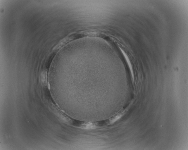 X0000083580425200702231700