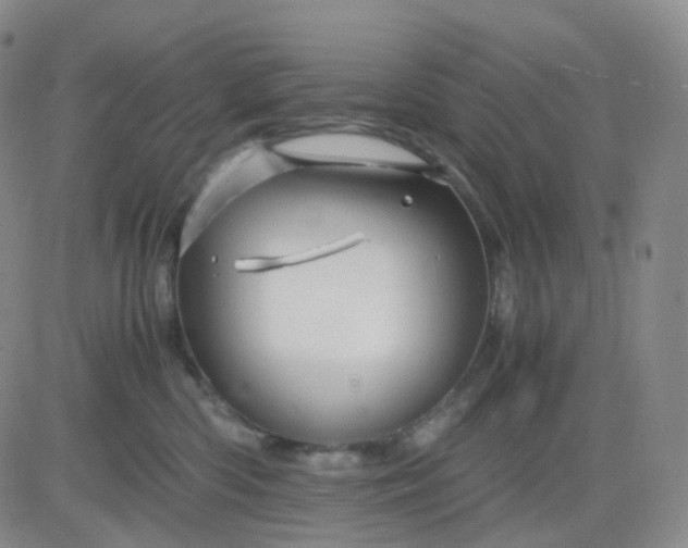 X0000083580426200702231700