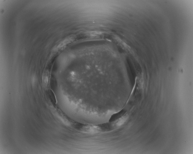 X0000083580427200702231700