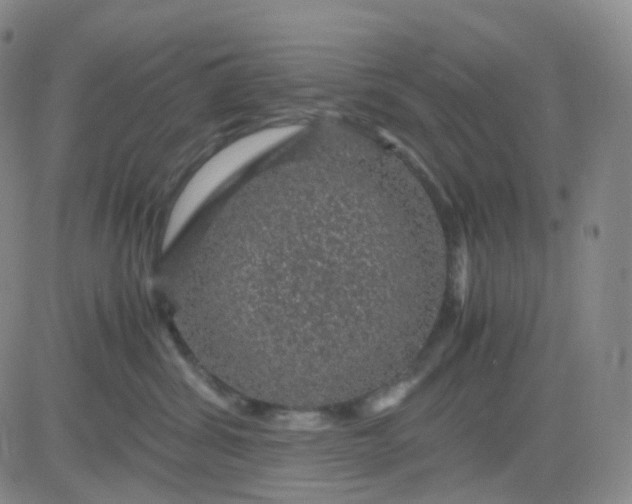 X0000083580428200702231700